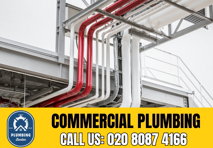 commercial plumbing Wandsworth