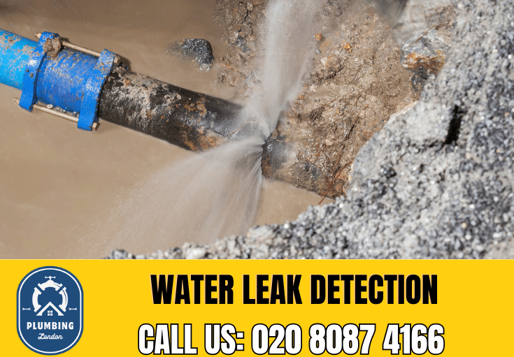 leak detection Wandsworth