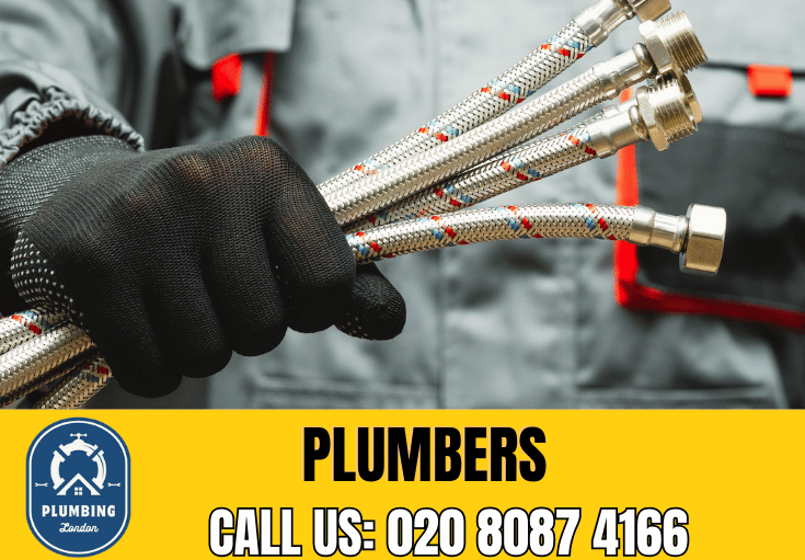  plumber Southfields