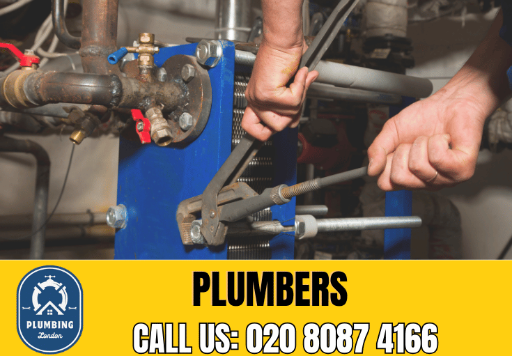  plumber Earlsfield