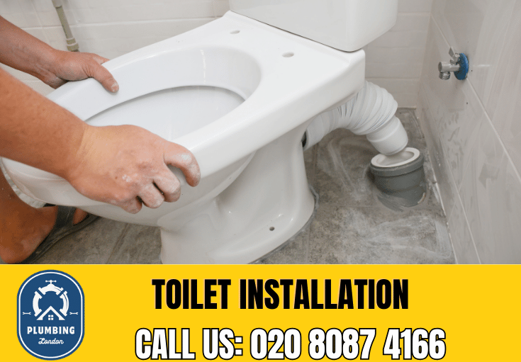 toilet fitters Wandsworth